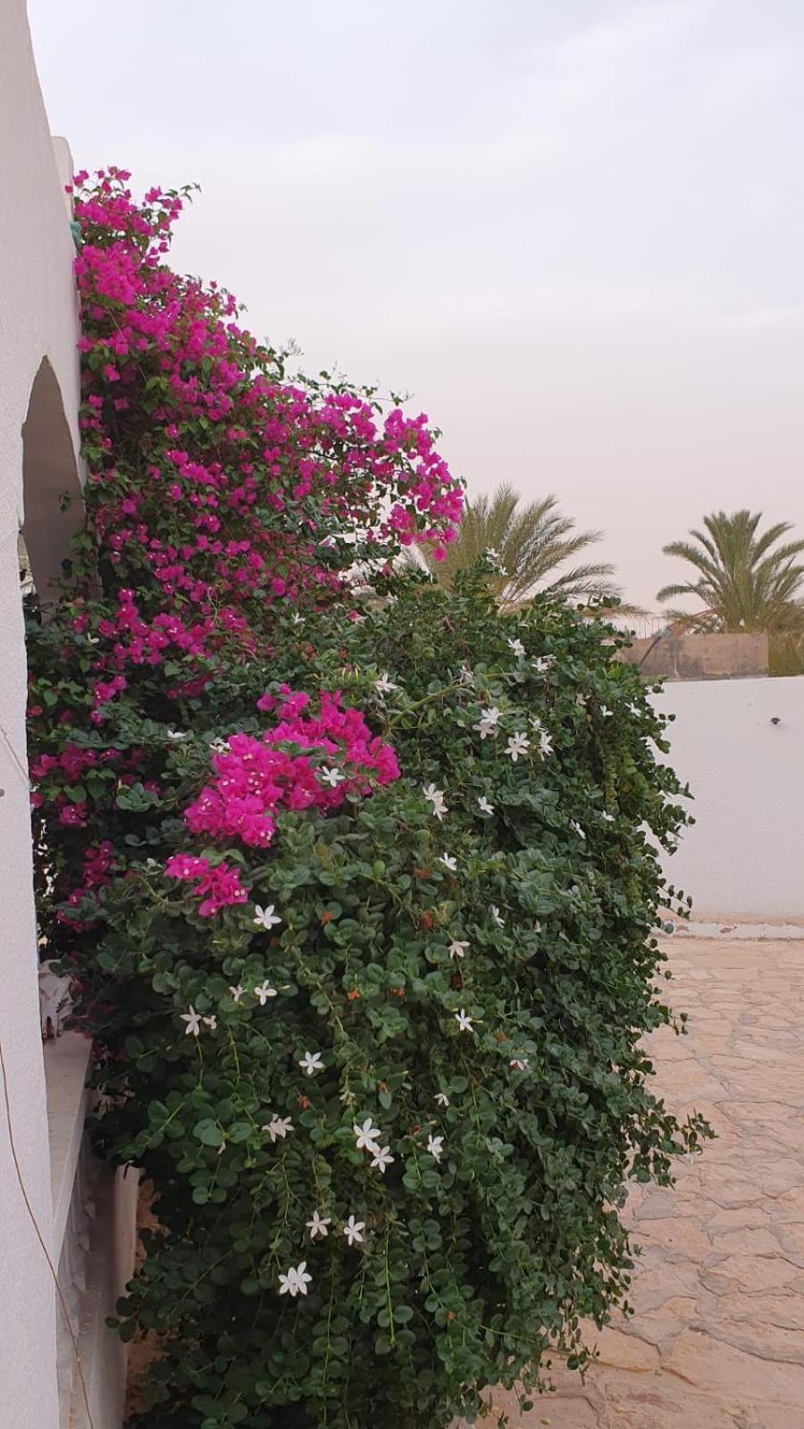 Residence Nour Douz Exterior photo